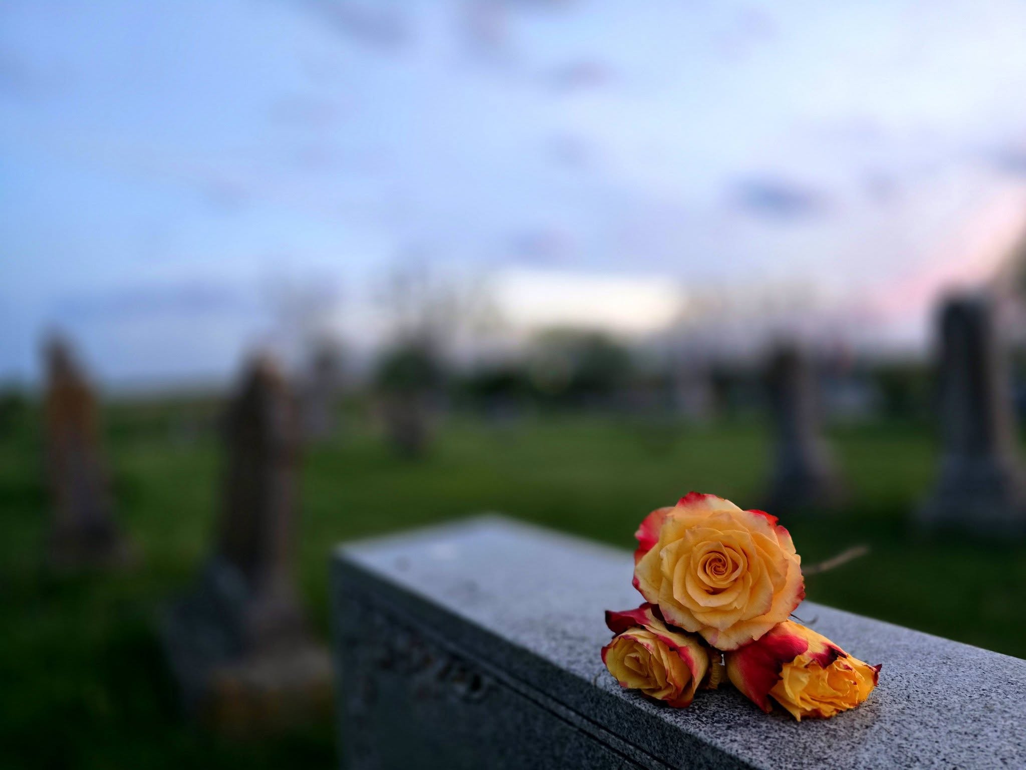 Bayview Cemetery historic monument